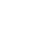 borrow